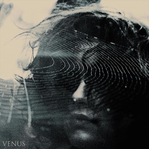 Venus_poster_image