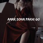 Amar Sona pakhi go LOFI