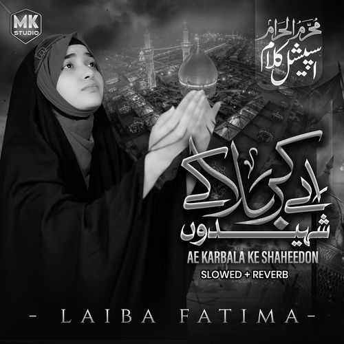 Ay Karbala Ke Shaheedo (Lofi-Mix)