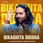 Bikashita Odisha artwork