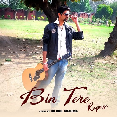 Bin Tere Reprise (cover)