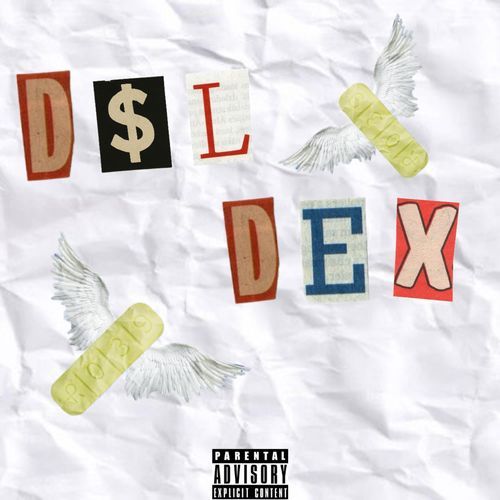 Ducking cover art
