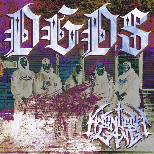 DGDS cover art