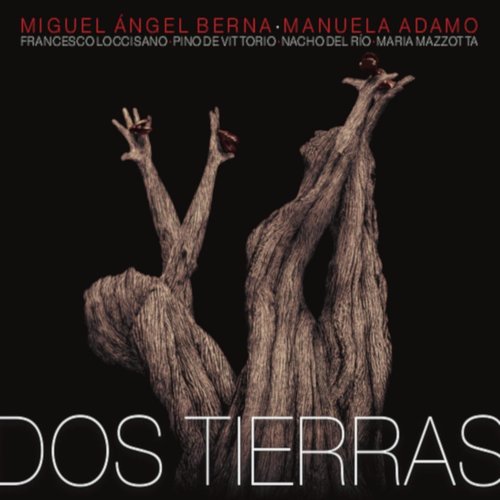 Jota de Santiago de Murcia cover art