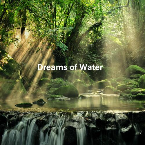 Fantasy River (with ASQVA) cover art