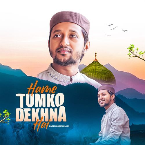 Hame Tumko Dekhna Hai