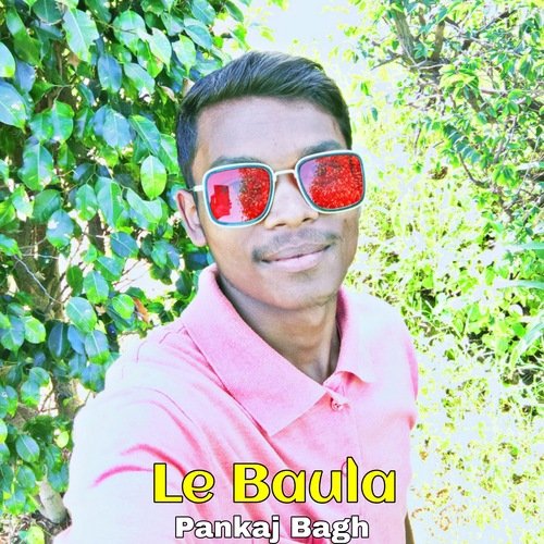 Le Baula