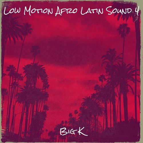 Low Motion Afro Latin Sound 4