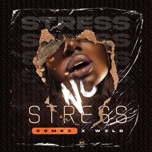 No Stress (feat. Wxld) Songs Download - Free Online Songs @ JioSaavn