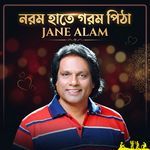 Norom Hate Gorom Pitha