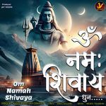 Om Namah Shivay Dhun