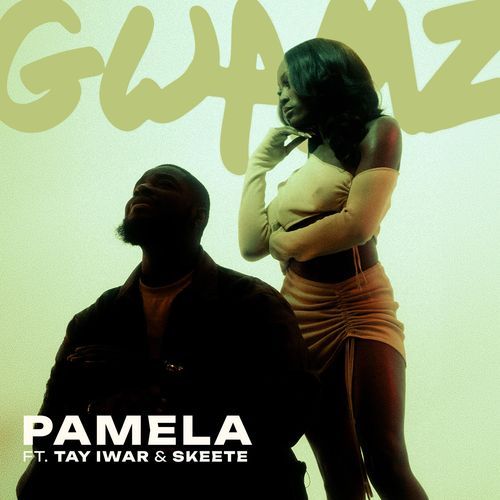 PAMELA cover art