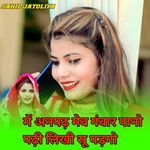 में अनपढ़ मेव गंवार पानो पढ़ी लिखी सू पड़गो