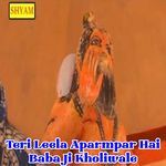Teri Leela Aparmpar Hai Baba Ji Kholiwale