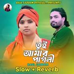 Tui Amar Pagli (Slow Version)
