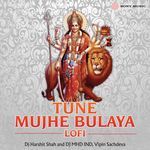 Tune Mujhe Bulaya (Lofi)