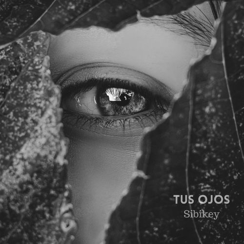 Tus Ojos cover art