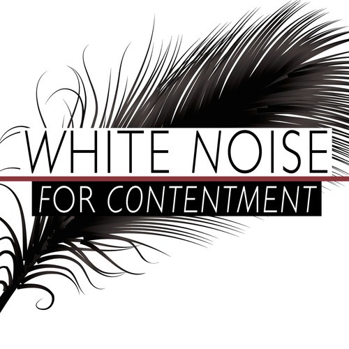 White Noise for Contentment_poster_image