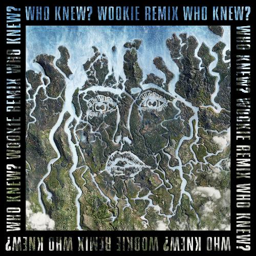 Who Knew? (Wookie Remix)_poster_image