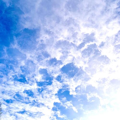 vivid