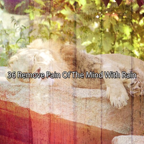 36 Remove Pain Of The Mind With Rain