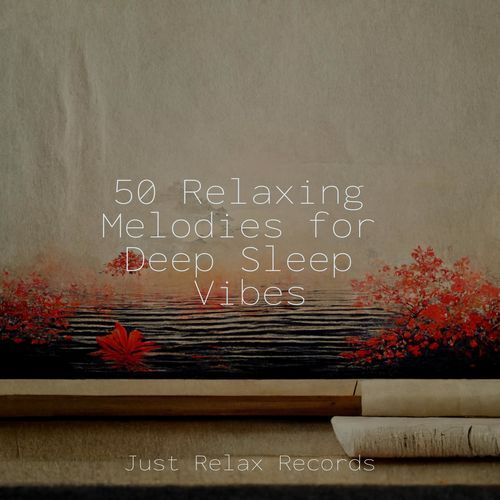 50 Relaxing Melodies for Deep Sleep Vibes_poster_image