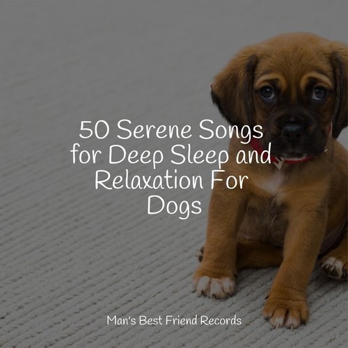 50 Serene Songs for Deep Sleep and Relaxation For Dogs