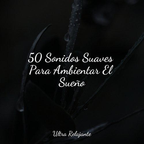 50 Sonidos Suaves Para Ambientar El Sueño