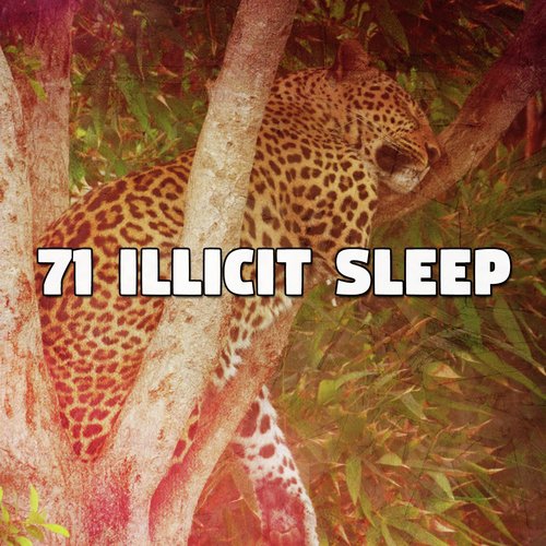 71 Illicit Sleep