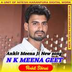 Ankit Meena Ji New song artwork