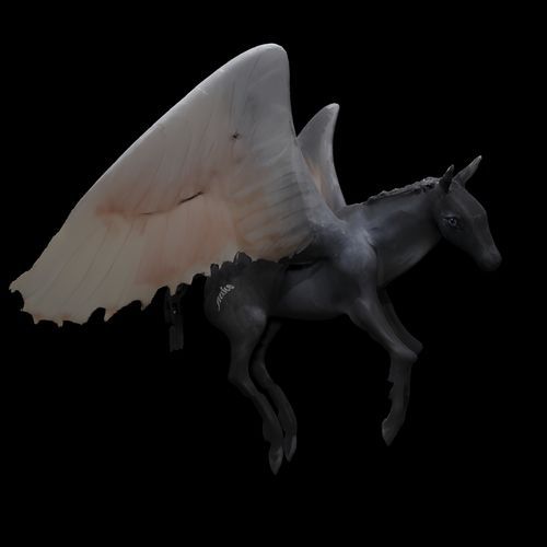 Black Pegasus cover art