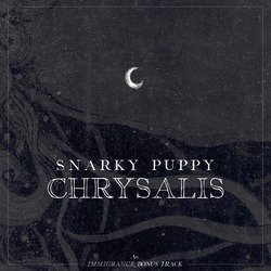 Snarky Puppy profile photo