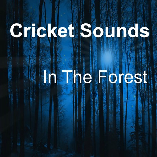  Crickets Tinnitus Relaxation