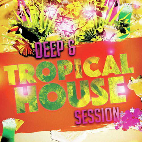 Deep &amp; Tropical House Session_poster_image