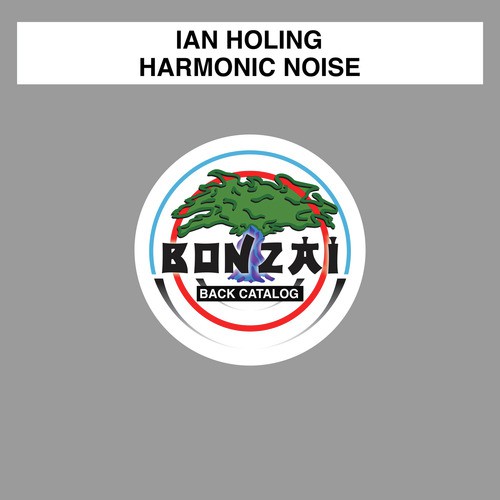 Harmonic Noise (Original Mix)