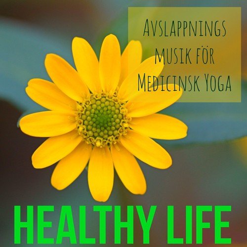 Healthy Life - Lounge Chillout Avslappningsmusik för Medicinsk Yoga med Instrumental och Naturljud