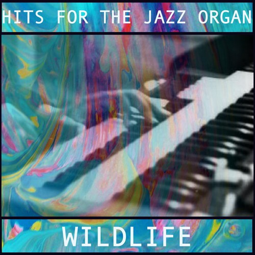 Hits for the Jazz Organ