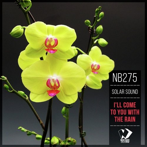 I'll Come to You with the Rain