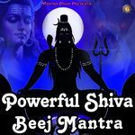 MAHAMRITUNJAYA BEEJ MANTRA