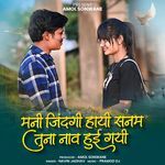 Mani Jindgi Hay Sanam