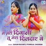 Me Teri Diwani Tu Mera Dildar Ve