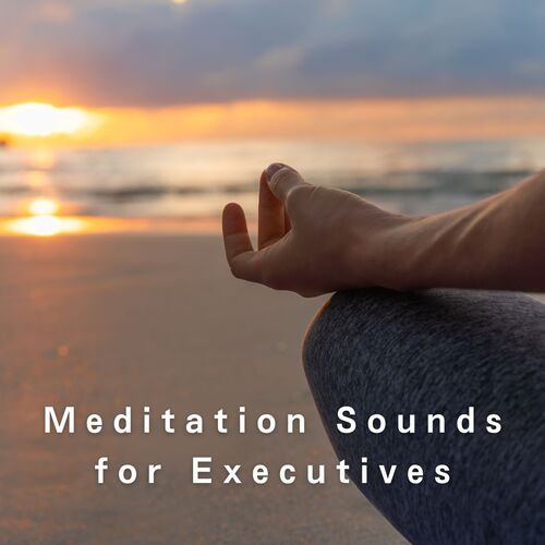 Chairman of the Meditators cover art
