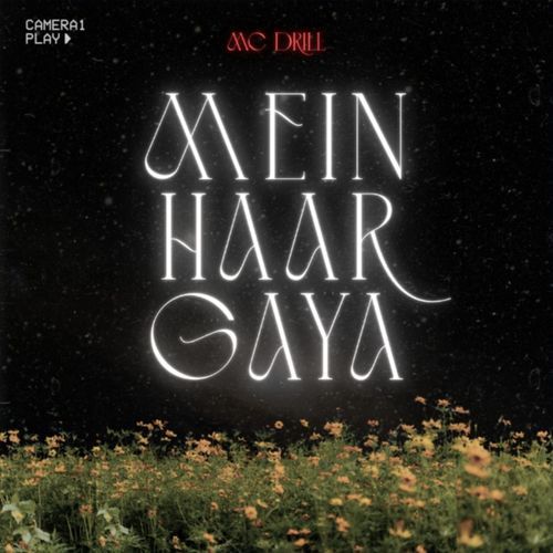 Mein Haar Gaya