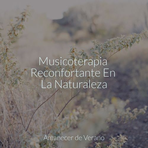 Musicoterapia Reconfortante En La Naturaleza