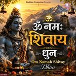 Om Namah Shivay Dhun