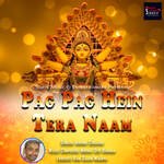 Pag Pag Hein Tera Naam