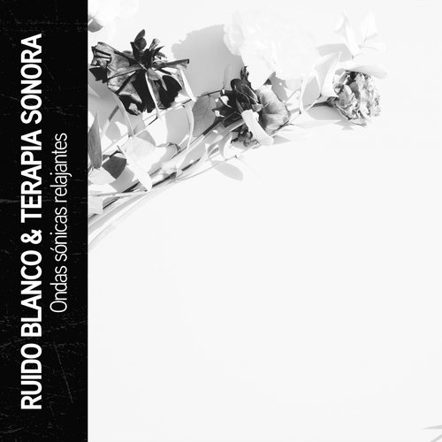 Ruido de Meditación Profunda cover art