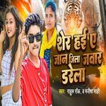 Sher Hayi A Jaan Jila Jawar Darela