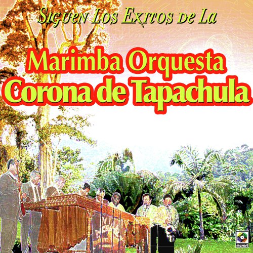 Siguen Los Éxitos De La Marimba Orquesta Corona De Tapachula