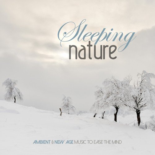 Sleeping Nature (Ambient & New Age Music to Ease the Mind)